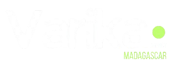 Logo Varika Agency